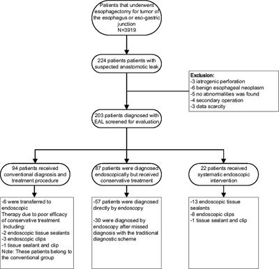 An Approach to Accelerate Healing and Shorten the Hospital Stay of Patients With Anastomotic Leakage After Esophagectomy: An Explorative Study of Systematic Endoscopic Intervention